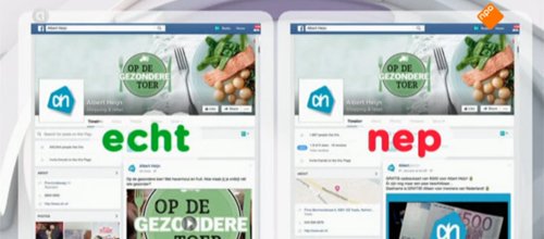 Website Albert Heijn echt en nep vergeleken